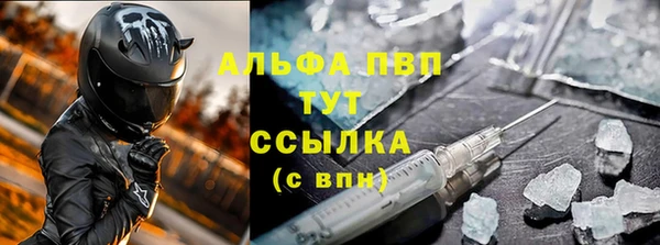 СК Аркадак